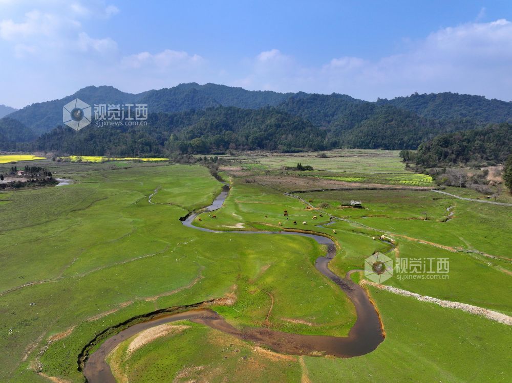 2026年3月10日，江西省吉安市泰和县桥头镇南车灌区，灌区水系蜿蜒流经田园，为春耕春灌带来源源不断的生态活水。