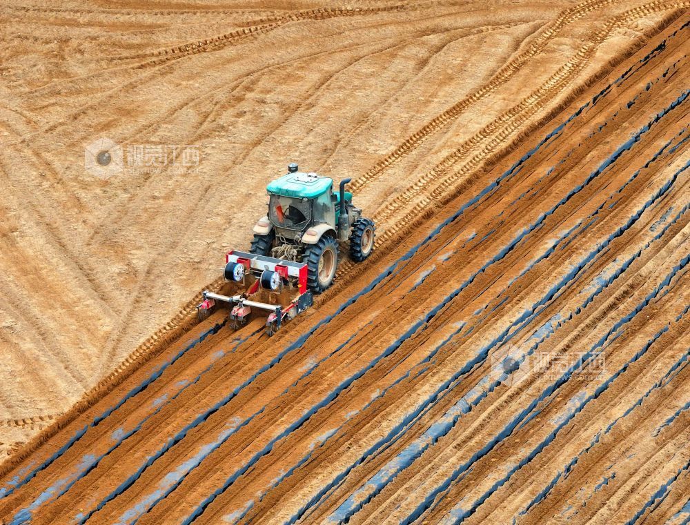 江西泰和：农机覆膜作业忙（图）