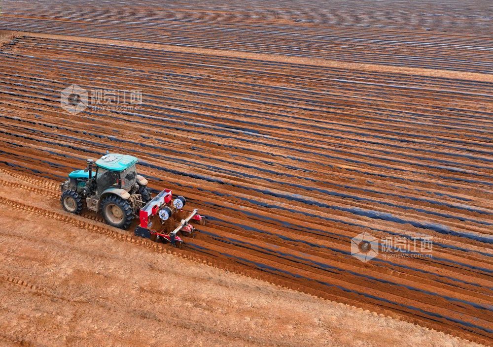 江西泰和：农机覆膜作业忙（图）