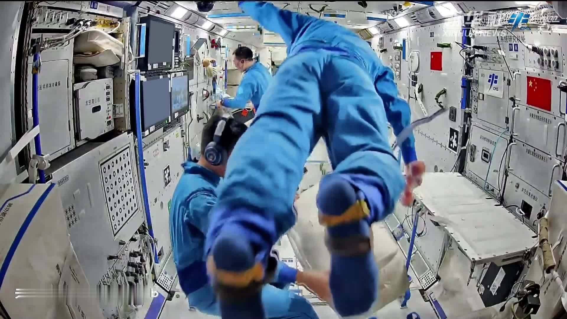 中国空间站动态｜“太空植物”大丰收