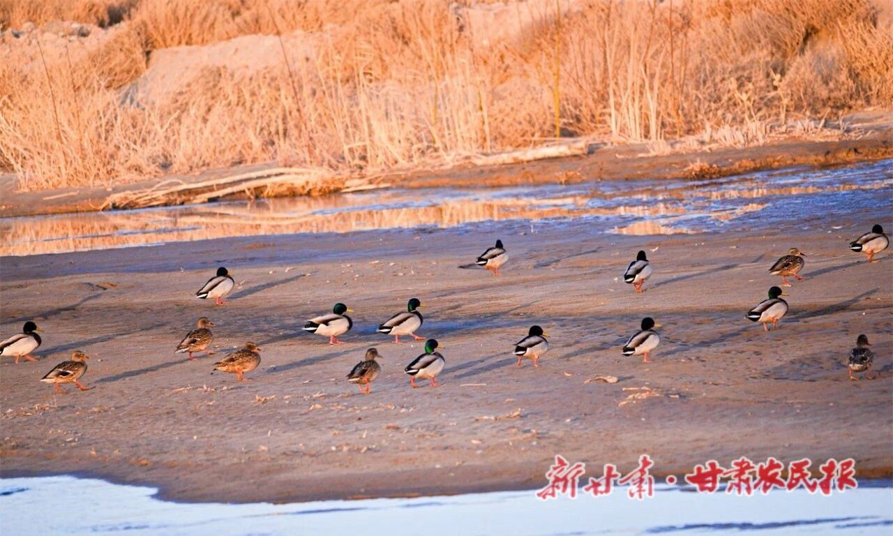 lQDPKIU3ikFLbRHNAwDNBQCw9qoJMIU-LkkJhwgtQPrBAA_1280_768