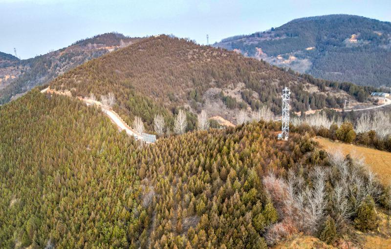 暖“心”闻：解码生态智慧 科技守护秦岭