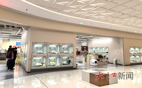 顾客被“宠胖胖”店内售卖的宠物吸引。