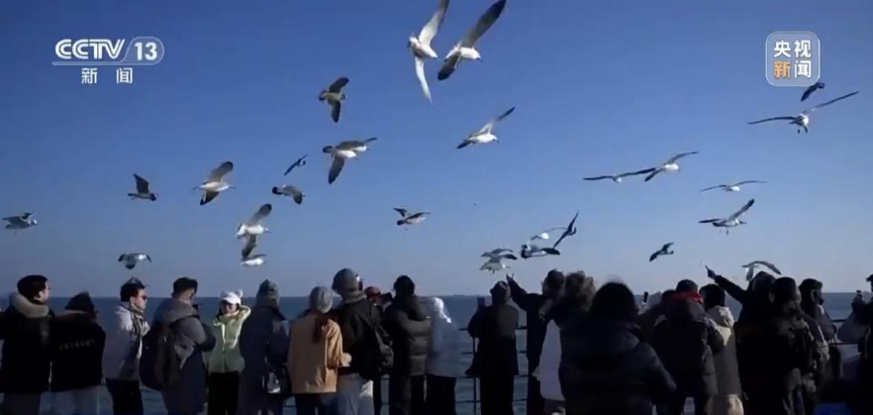 ͼƬ��Դ����������