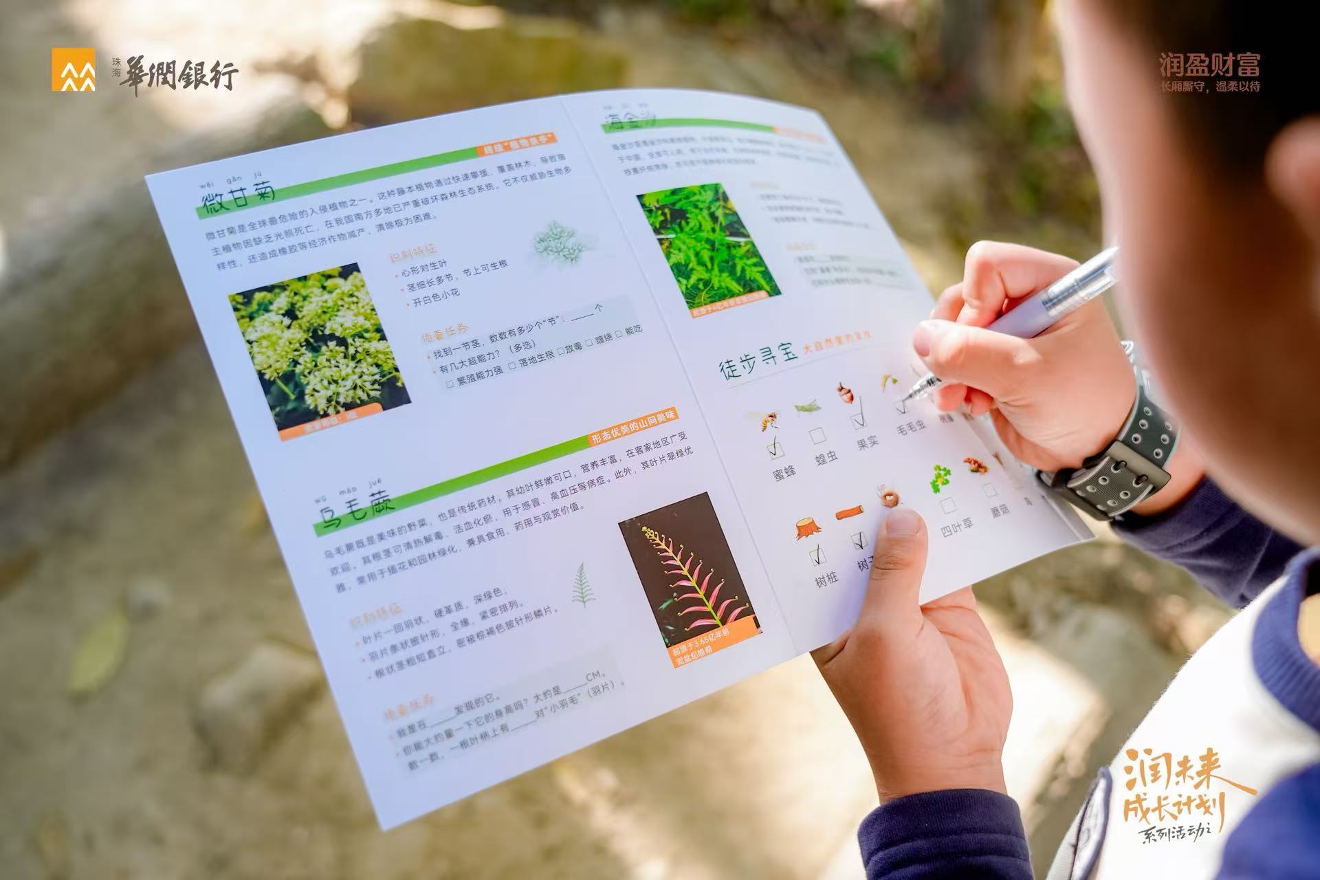 8公里山海的陪伴，是给孩子最好的成长礼——记广东华润银行深圳分行“鲲鹏径&middot;少年行”首站