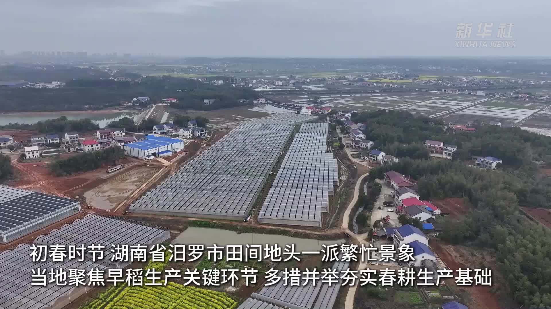 湖南汨罗：抢抓农时忙春耕