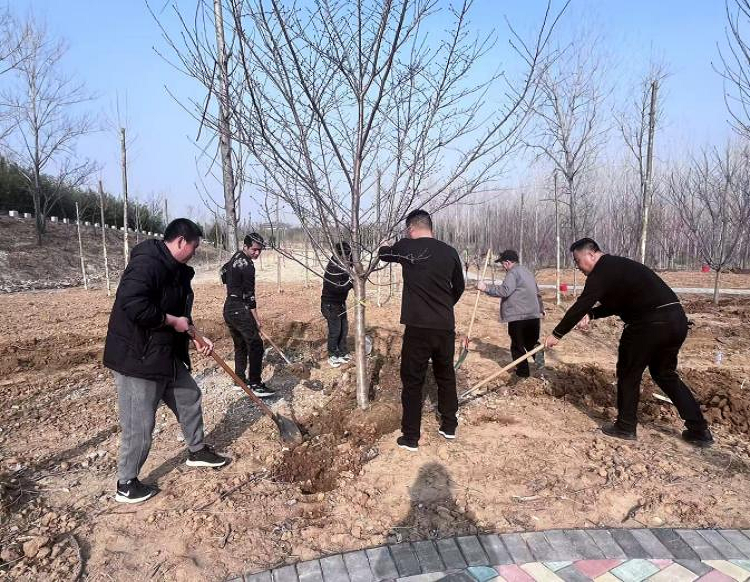 徐州“多彩新绿”，为何能凝聚一城力量？