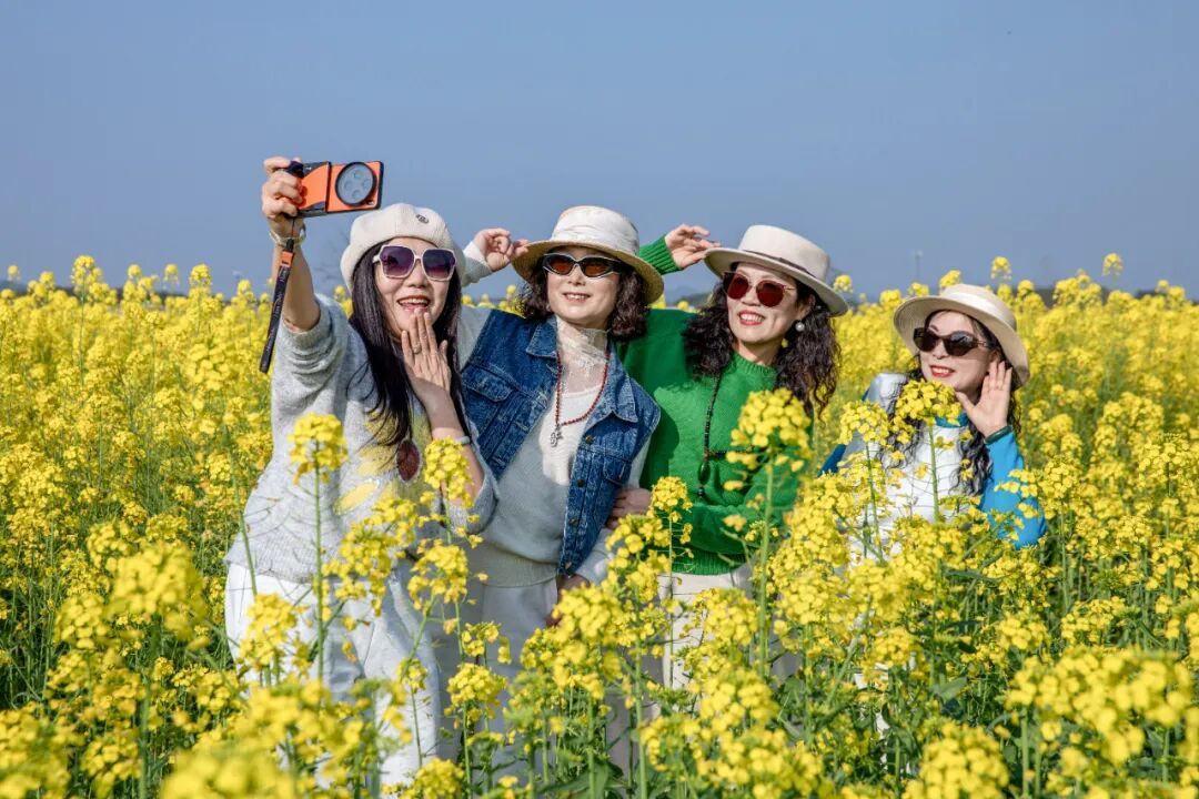 万亩油菜花海“金”艳登场，袁州这个村等你来打卡