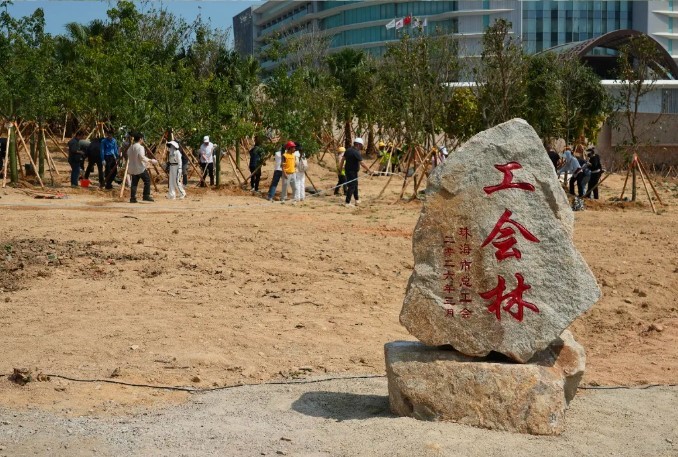 珠海工会东澳岛“工会林”种植暨全省首个离岸海岛绿美点健步走活动举办