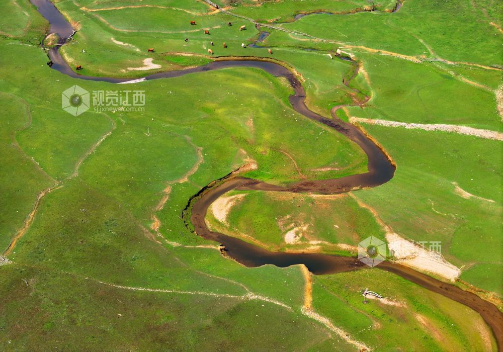 2026年3月10日，江西省吉安市泰和县桥头镇南车灌区，灌区水系蜿蜒流经田园，为春耕春灌带来源源不断的生态活水。