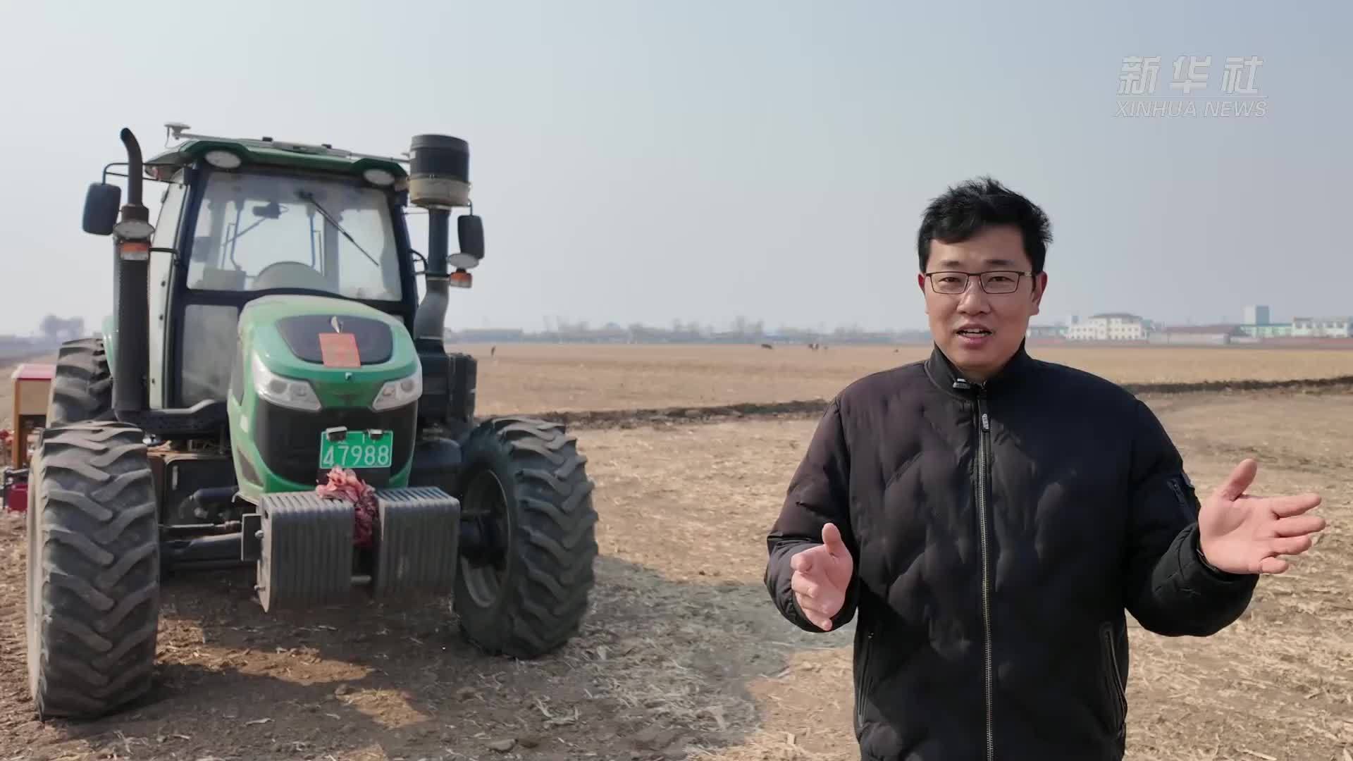 良种配良技：麦豆轮作助增收