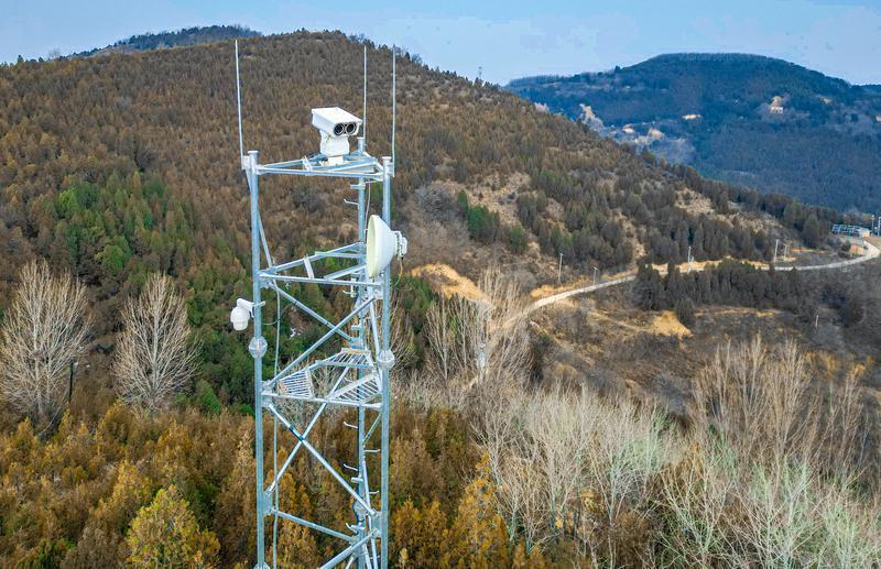 暖“心”闻：解码生态智慧 科技守护秦岭