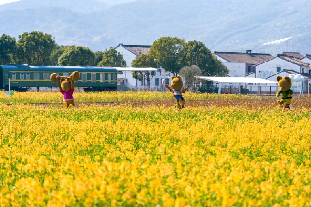 20260310 茂新村油菜花4MP-09499.jpg