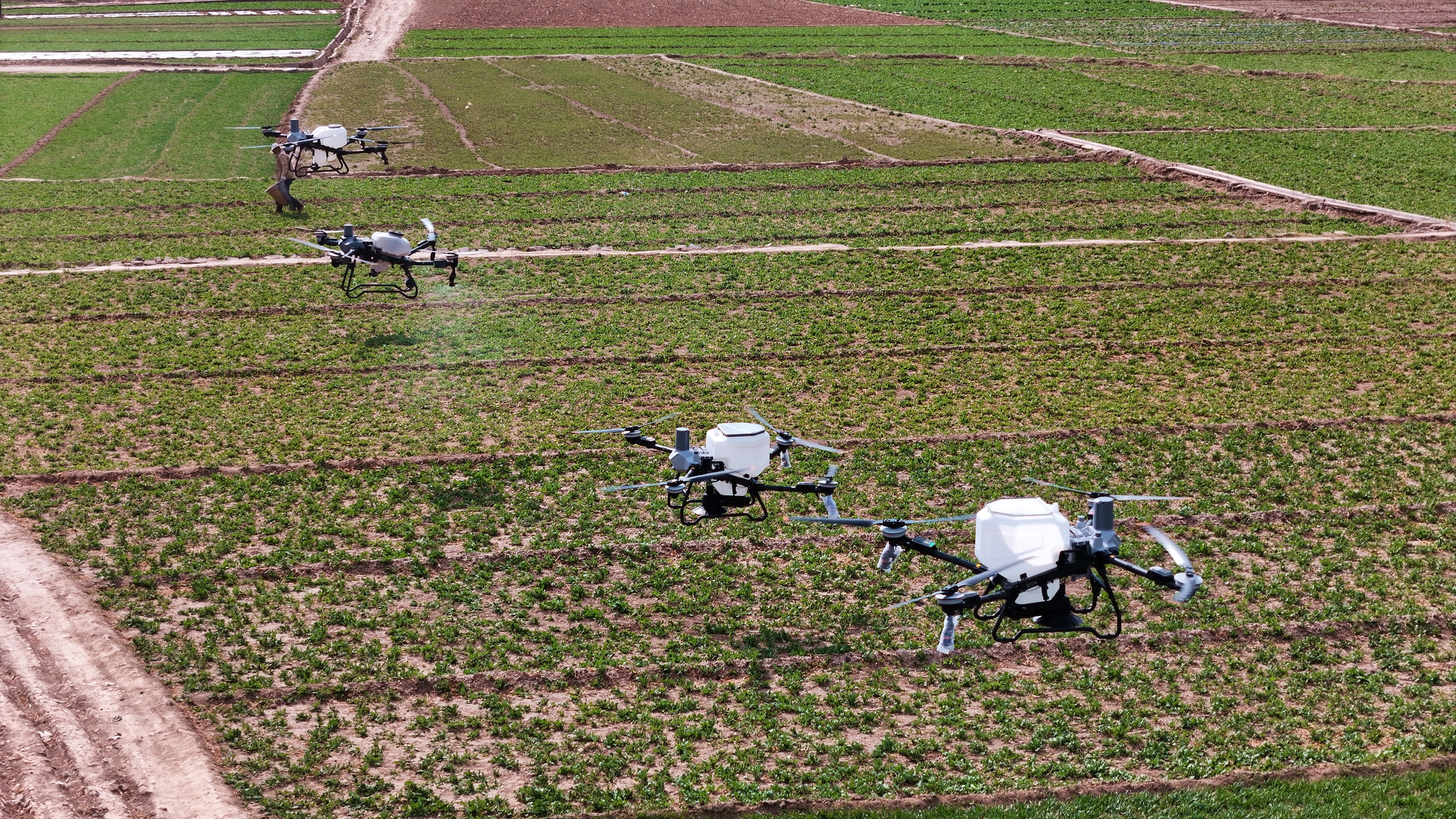 无人机施肥作业