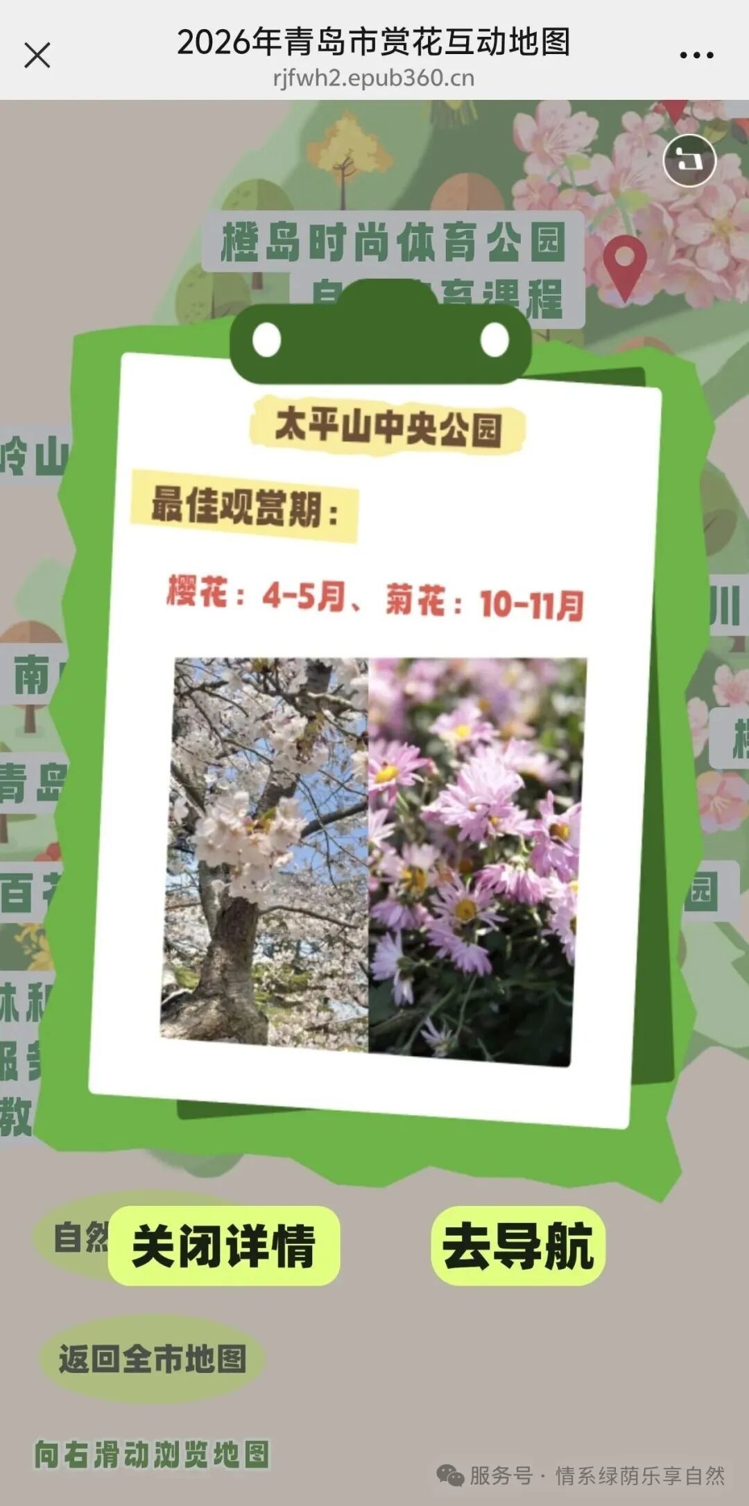 寻芳青岛 乐享自然——2026年全市赏花地图已发布，赏花采摘与自然教育融合上线啦
