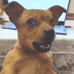 华为史上最大电池,终于定了