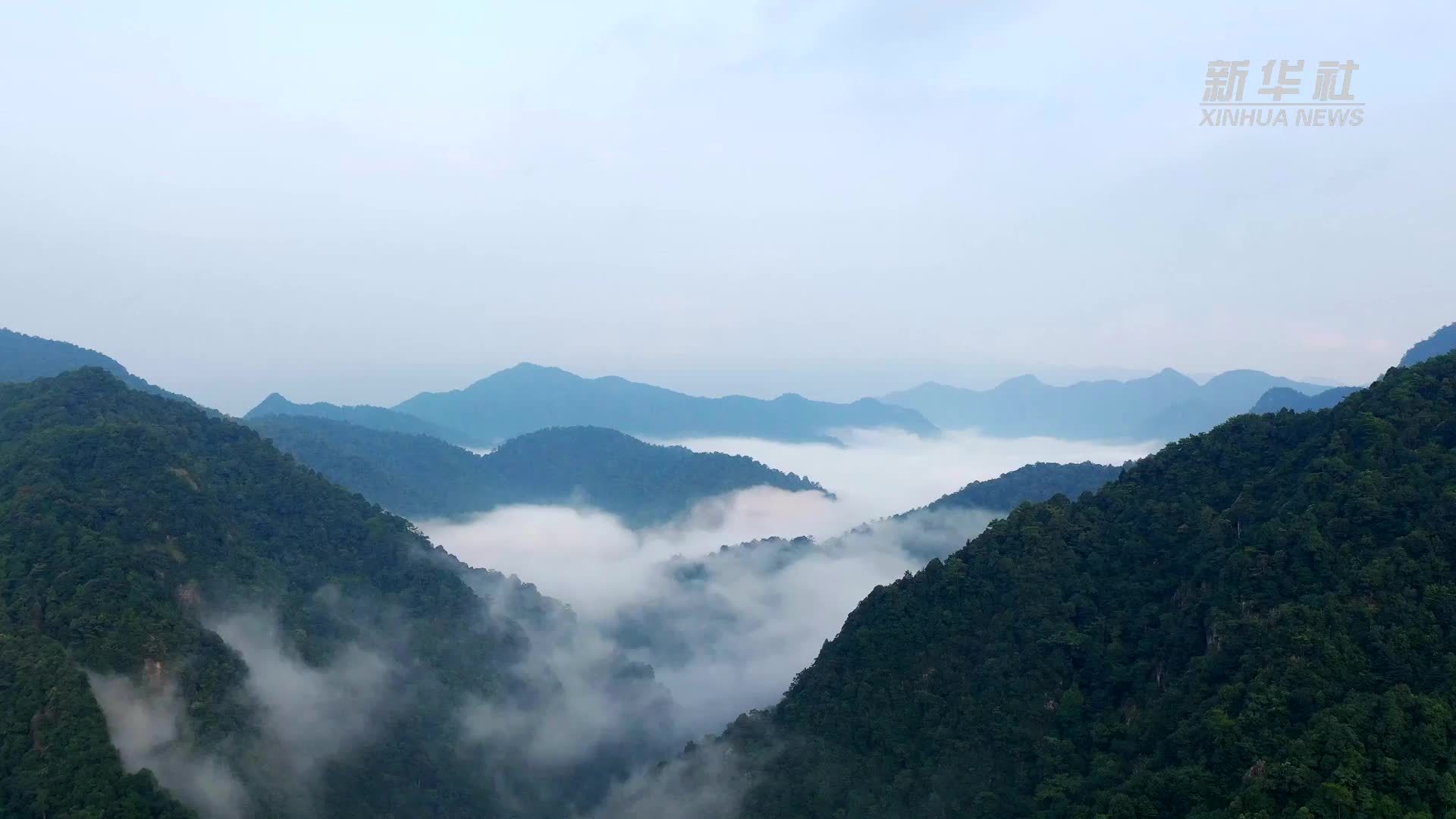老区新产业：赣南腹地 生物医药“链”出百亿产业