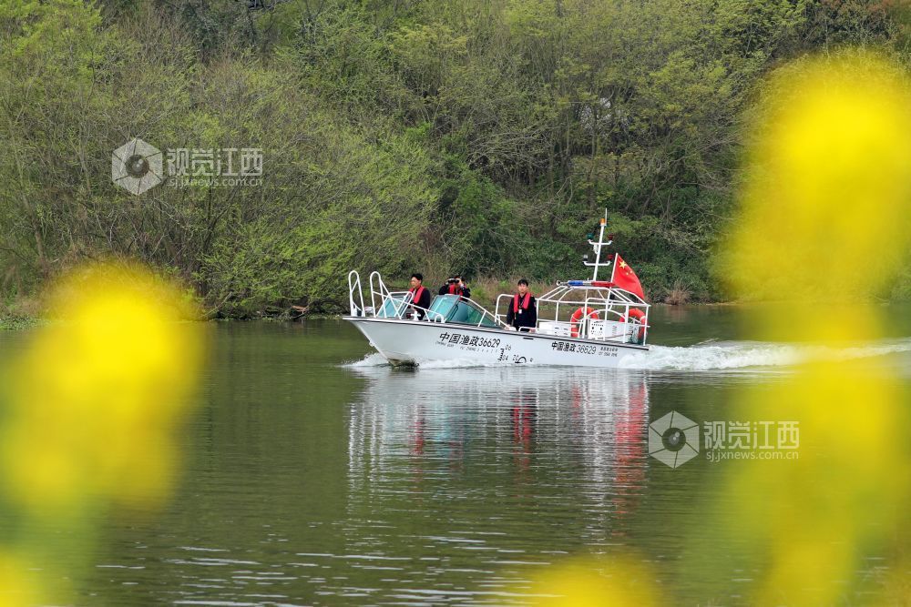 2026年3月18日,江西省吉安市泰和县农业综合行政执法大队执法人员正在赣江泰和段水域进行巡江护水。