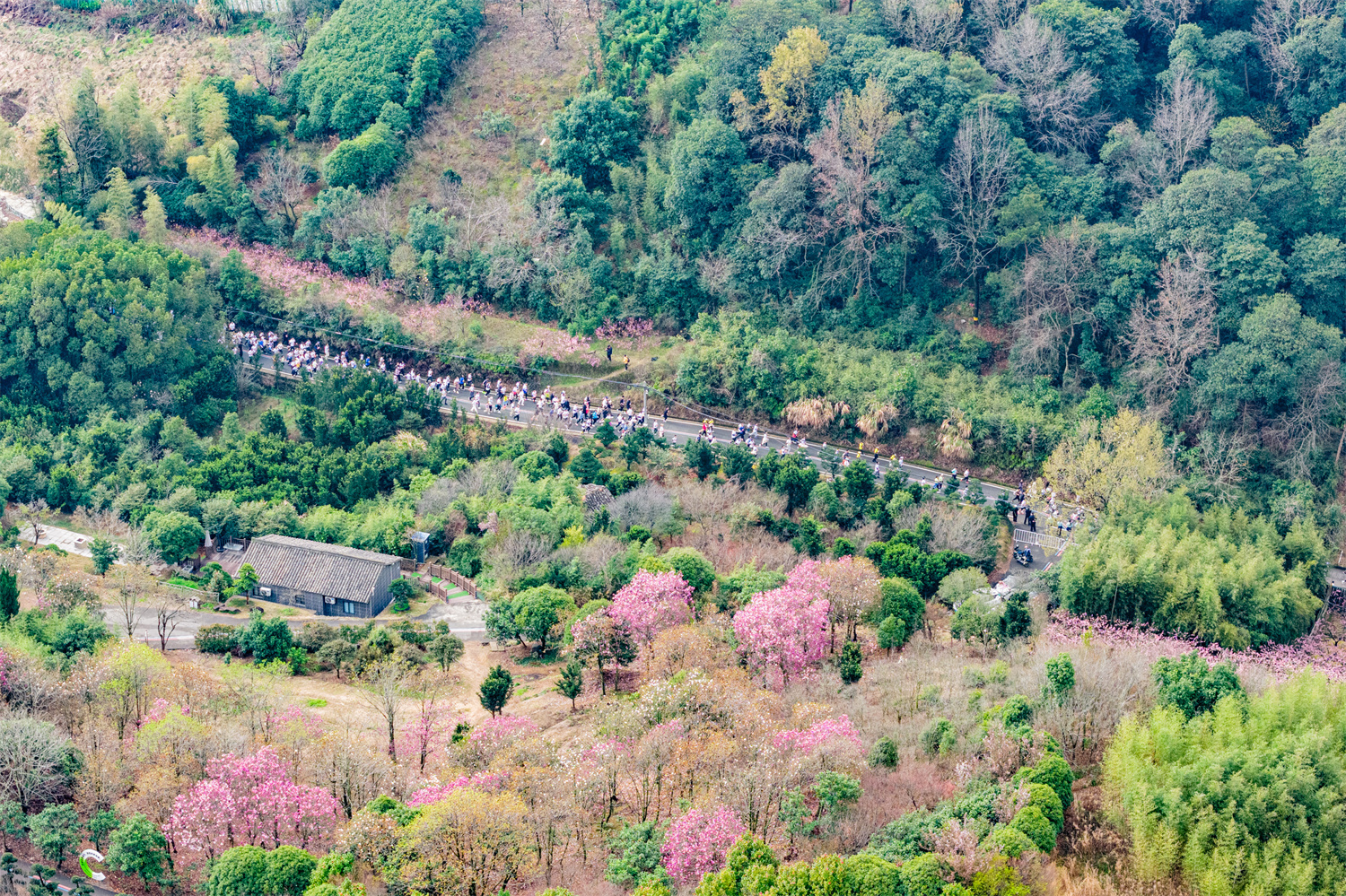 2026海峽兩岸(寧波)樂跑嘉年華歡樂開跑!