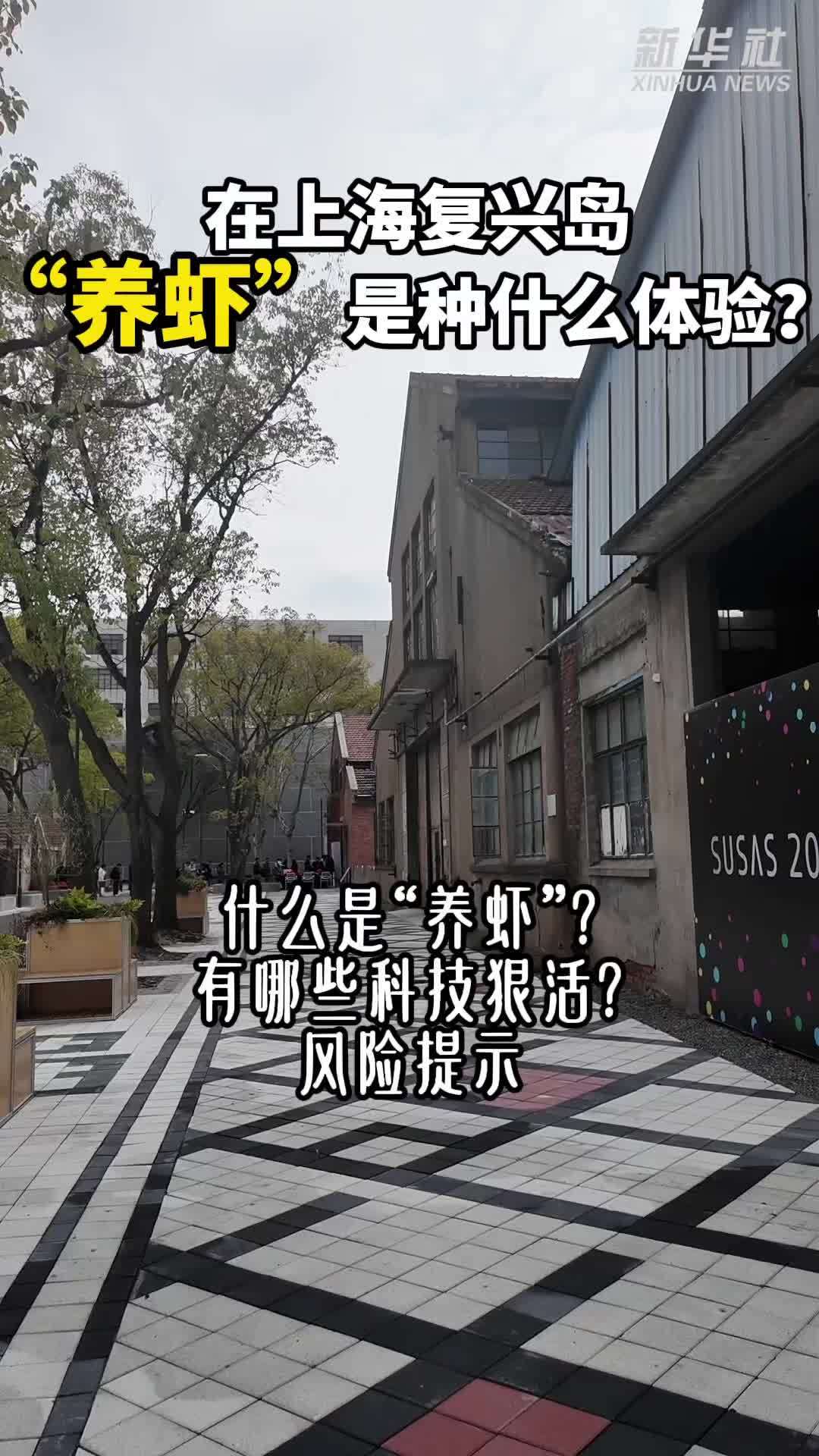 秀我中国｜在上海复兴岛“养虾”是种什么体验？