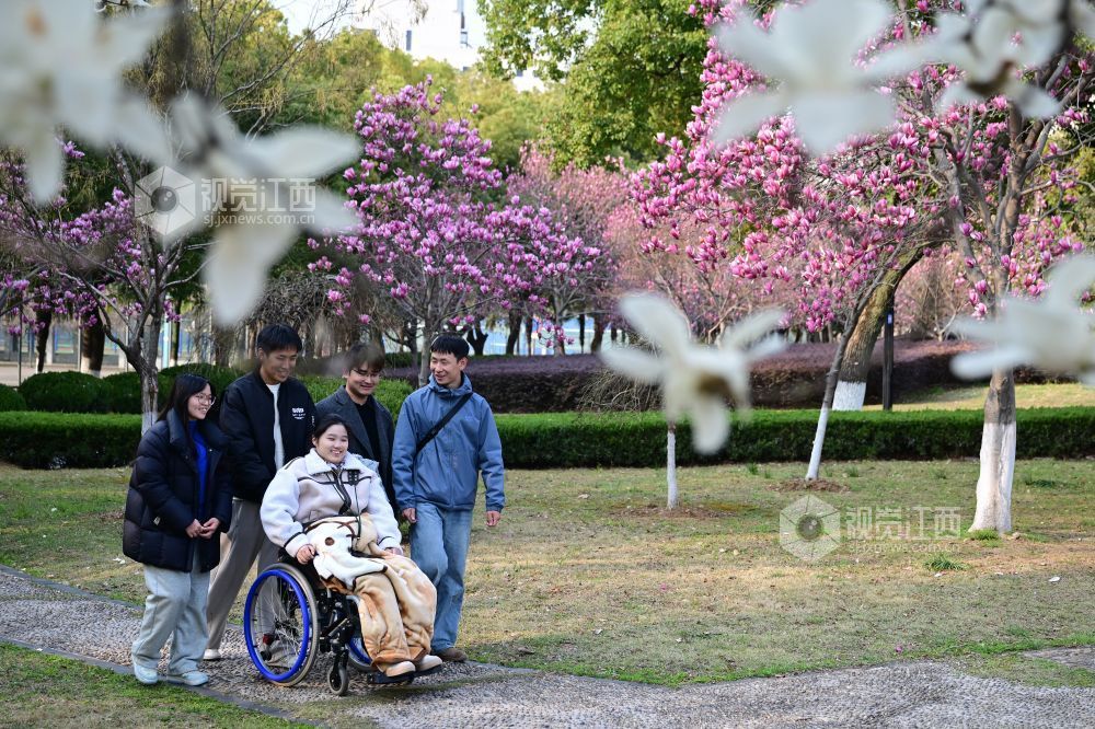 3月12日，安徽师范大学校园里春意盎然，同学们陪伴许詹琪赏花谈心。