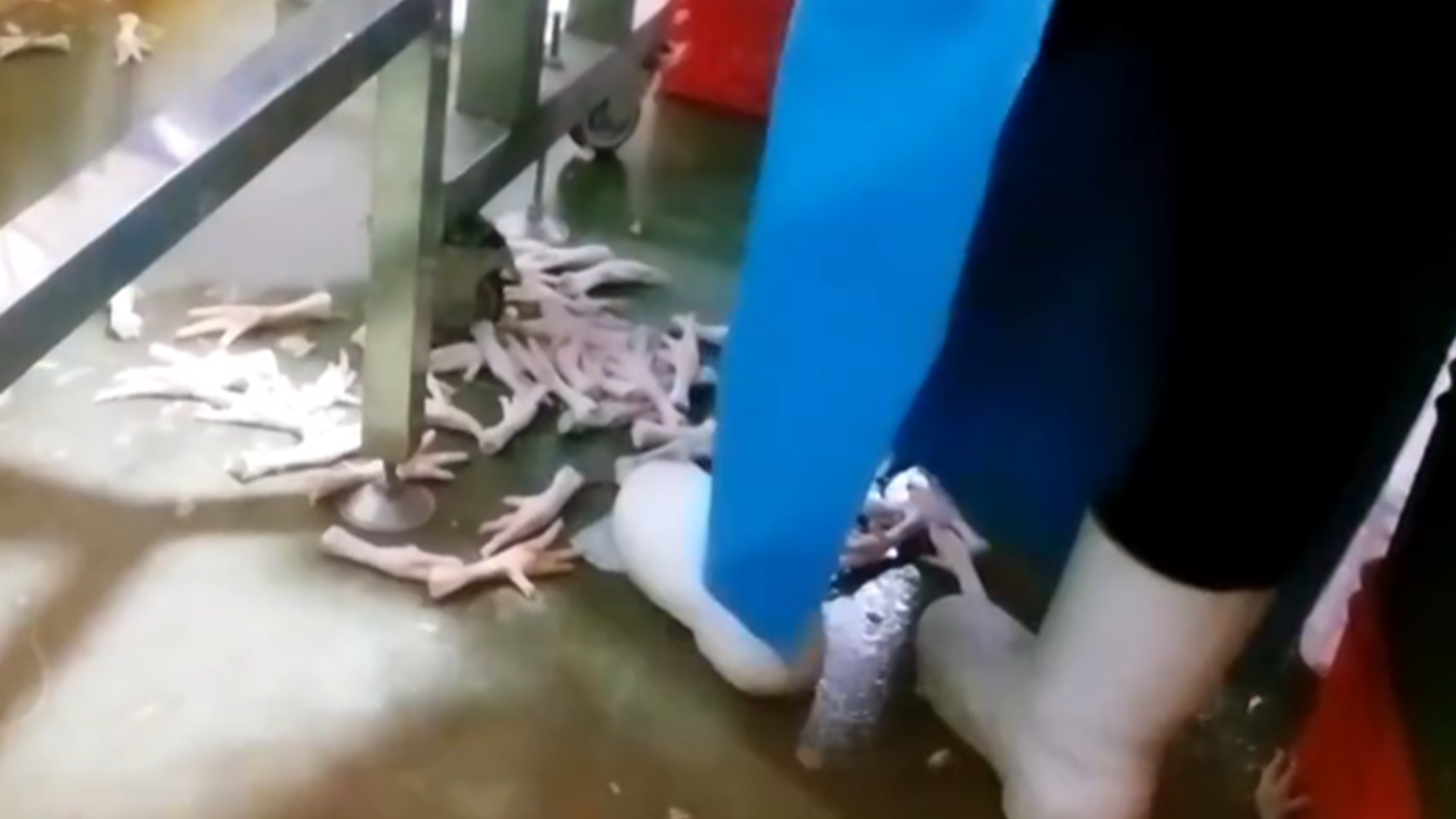 网红鸡爪生产车间臭气弥漫令人作呕，大量鸡爪裸露堆在脏乱地面上，工人：双氧水漂白过的，从来不吃
