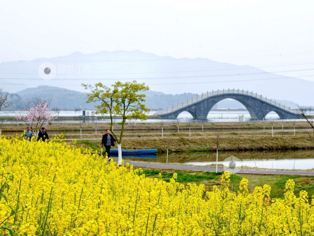 江西分宜：介溪湿地 春色宜人（图）