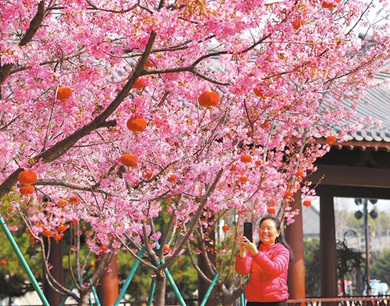 九江：春风拂面景如画 踏青寻美正当时