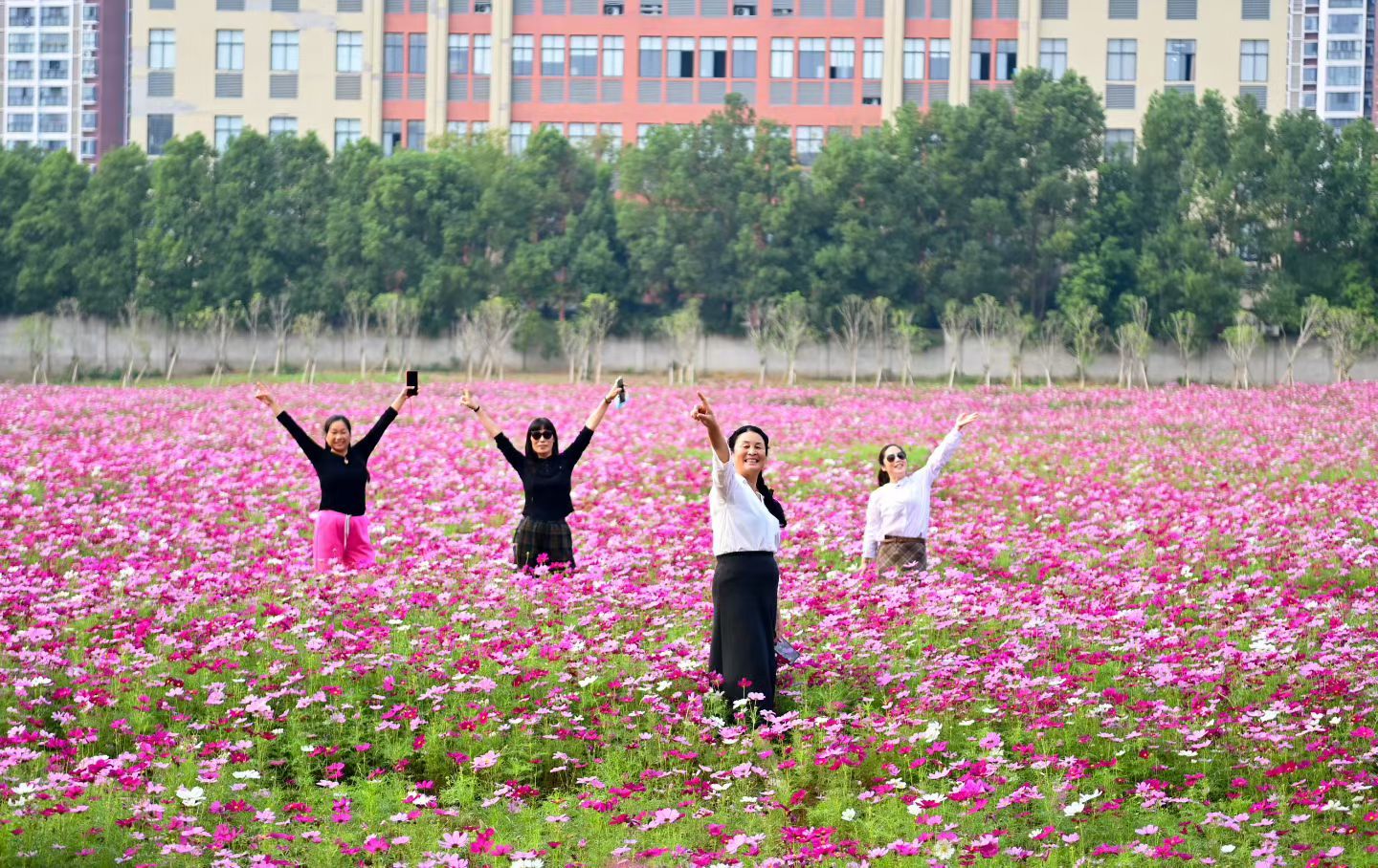 2026潜江“满城芳华”行动再升级