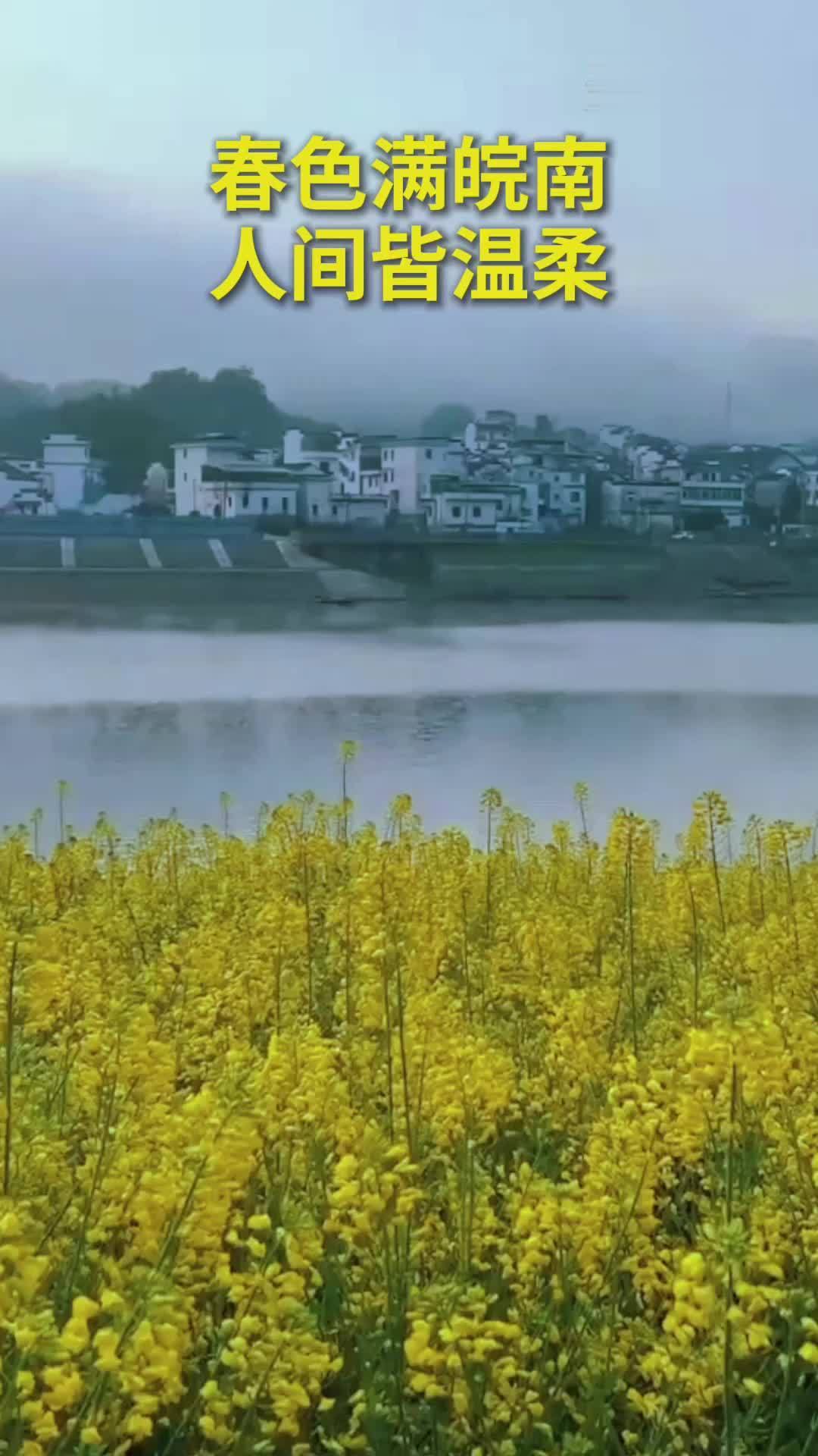 春色满皖南 人间皆温柔