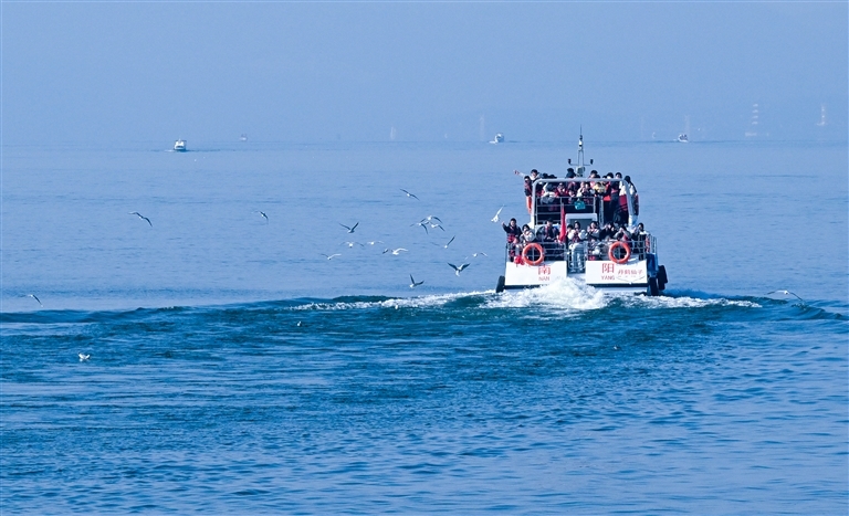 在淅川县宋岗码头，鸥鸟翩跹，游客们乐享生态美景。该区域位于国家一级水源保护区外，已成为“中原看海”的知名打卡地。崔培林 摄