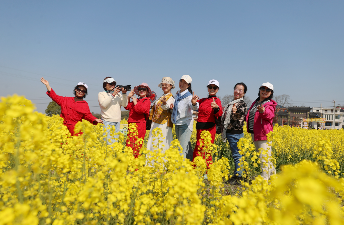 九江湖口：万亩油菜花竞相绽放 乡村赏花游持续升温