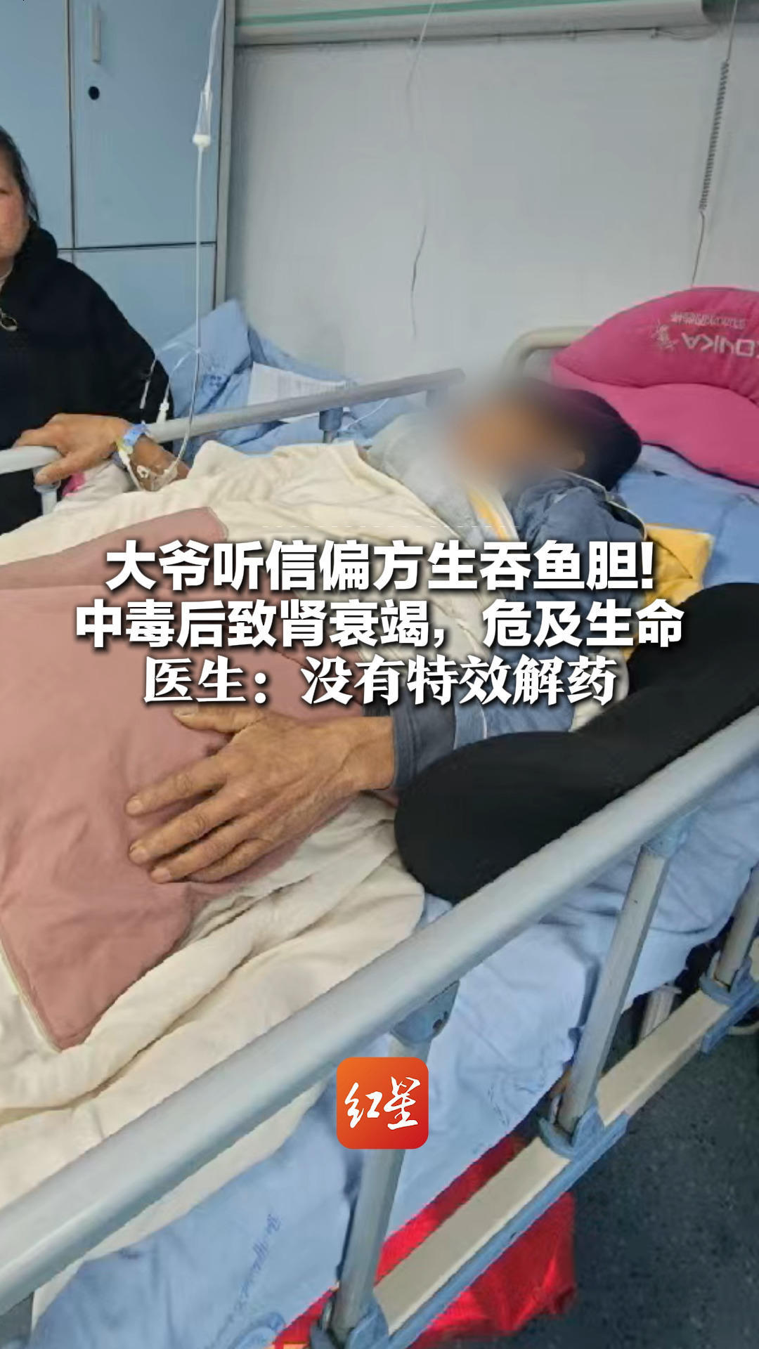 堪比砒霜 切勿食用！69岁大爷听信偏方生吞鱼胆 中毒后致肾衰竭，危及生命  医生：没有特效解药