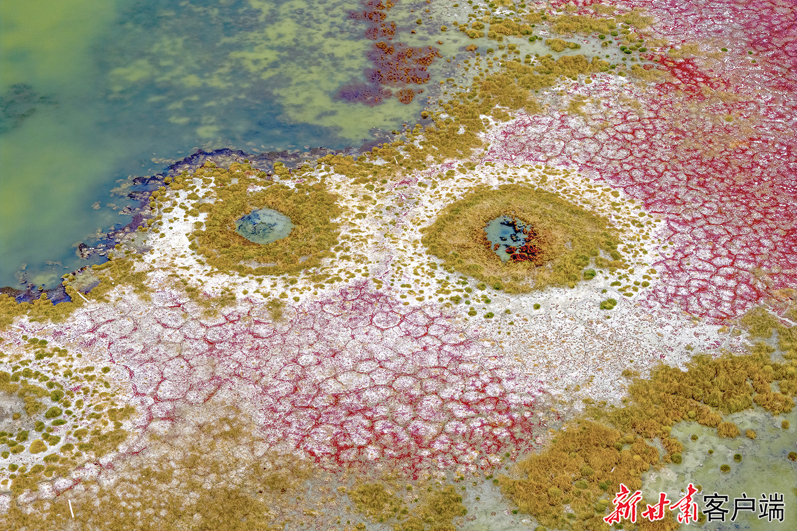 二等奖《多彩的苏干湖》（组照之一）　白发明