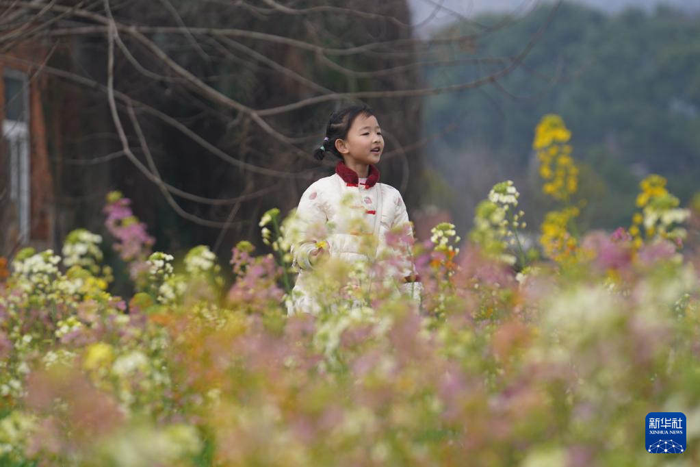 3月15日，游客在彩色油菜花田里游玩。