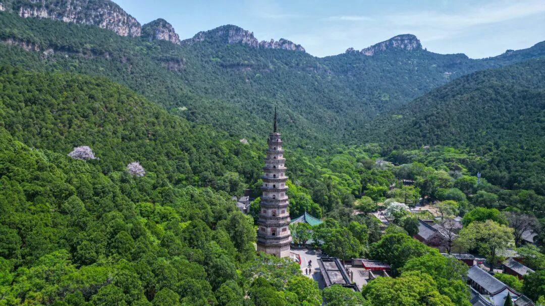 摄影:陈刚 2025年4月于灵岩寺