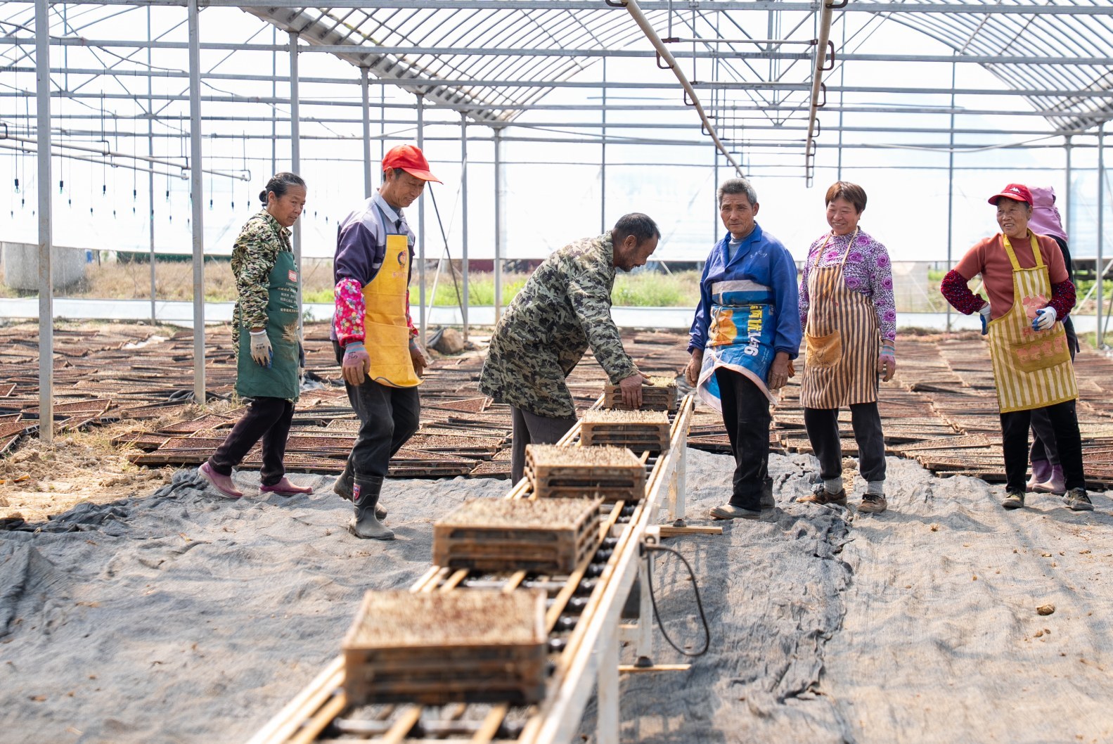 大棚育秧、良种示范、农技指导，新余各地抢抓农时忙春耕