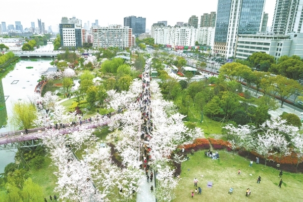 从提升“绿量”到提升品质 宁波探索造绿、优绿新路子