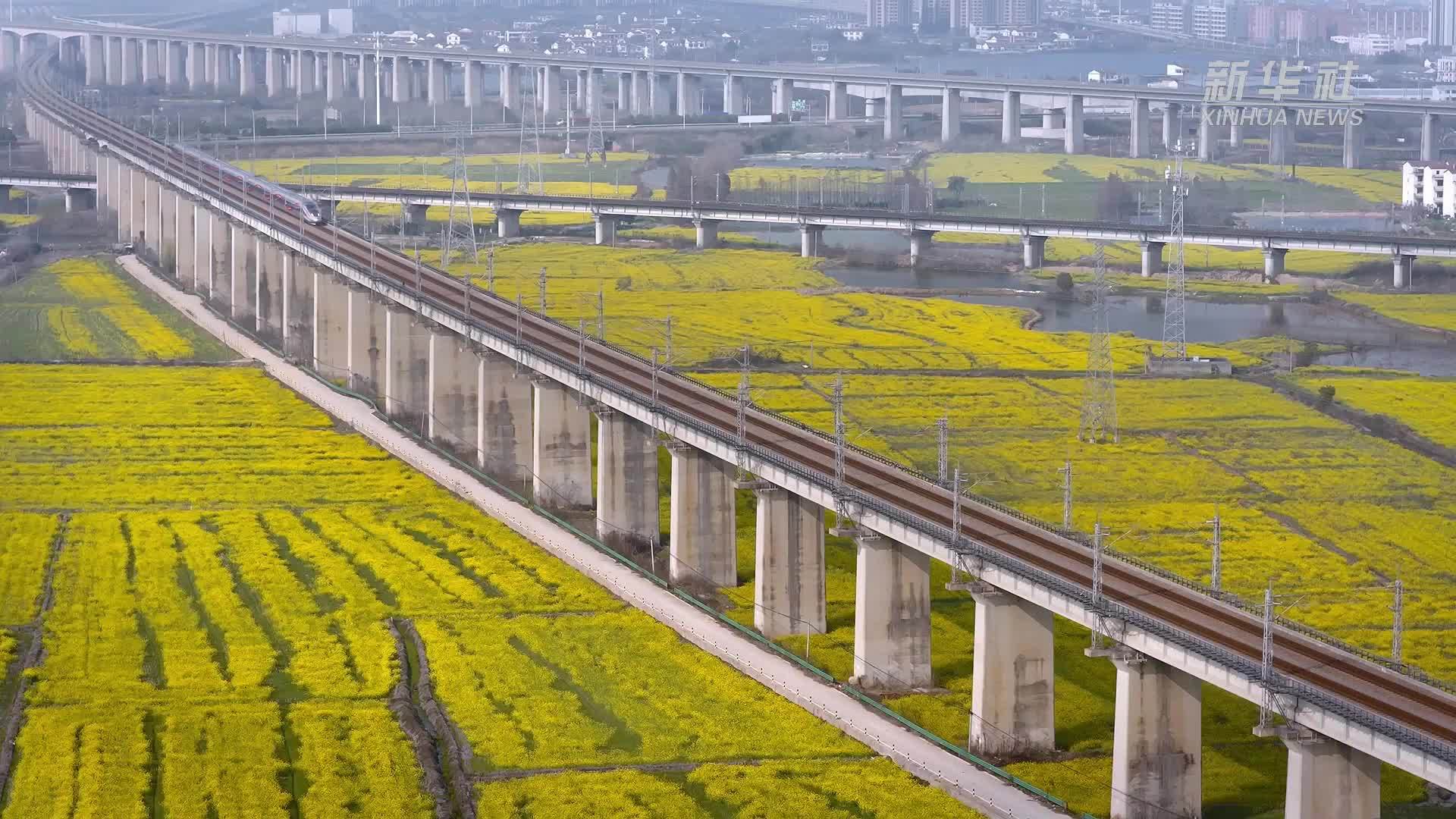 开往春天的高铁 穿行金色花海