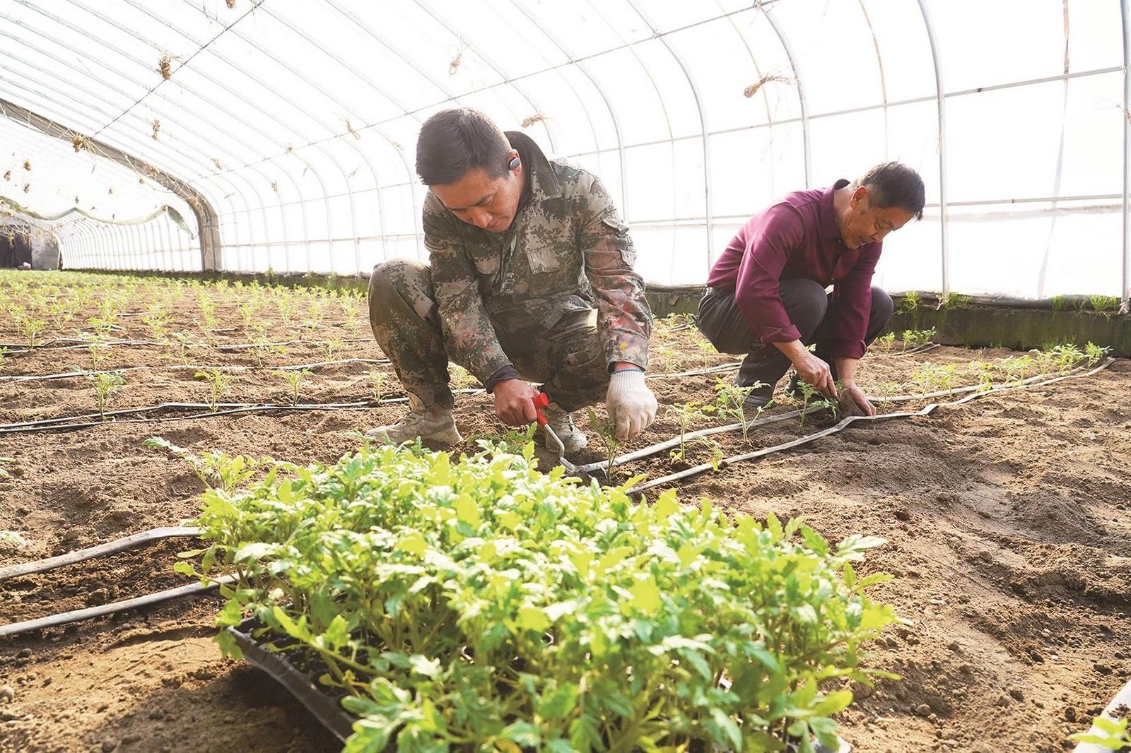 人勤春来早 万象“耕”新时