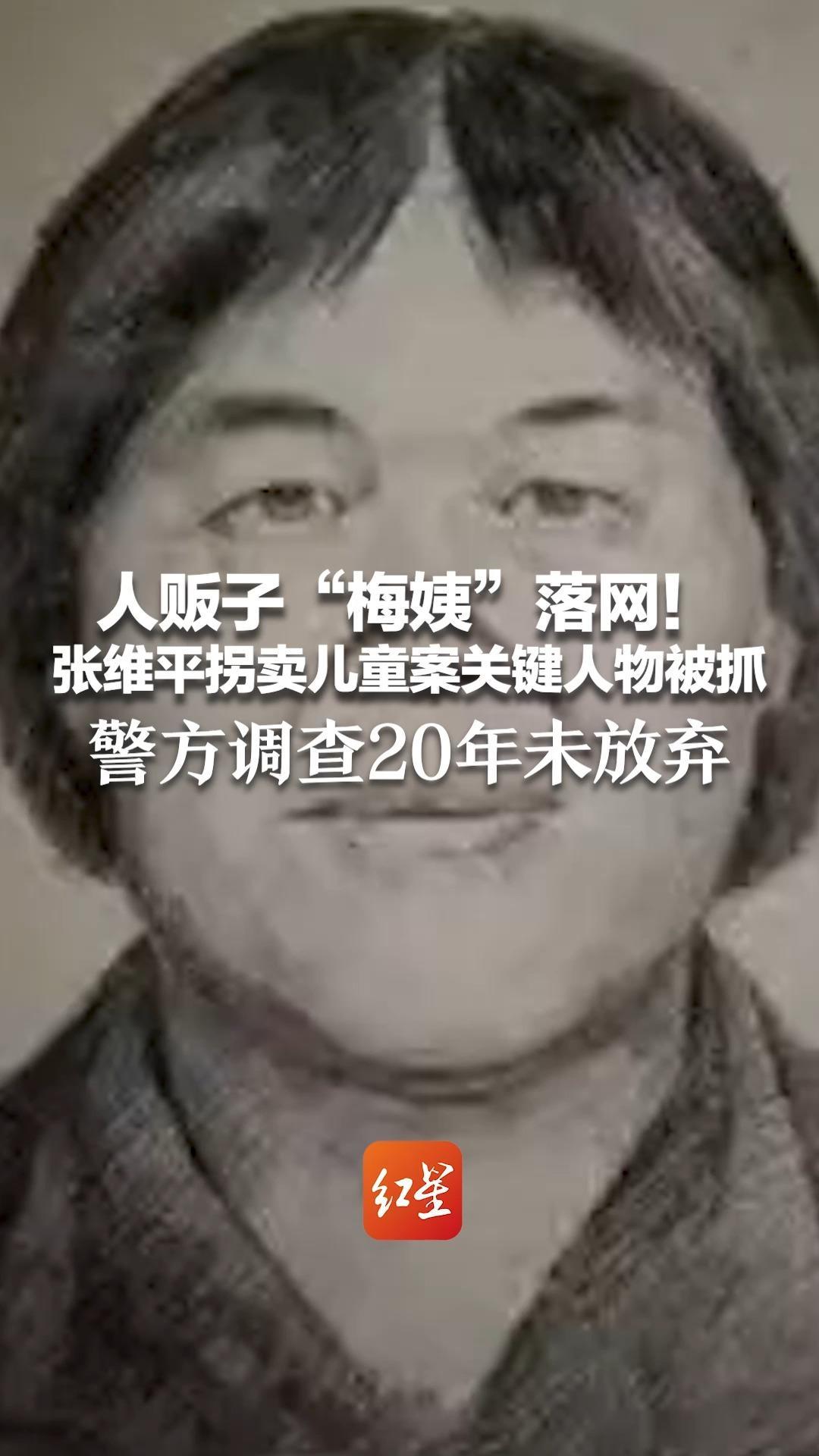 人贩子“梅姨”落网！张维平拐卖儿童案关键人物被抓 谢某某对犯罪事实供认不讳 警方调查20年未放弃