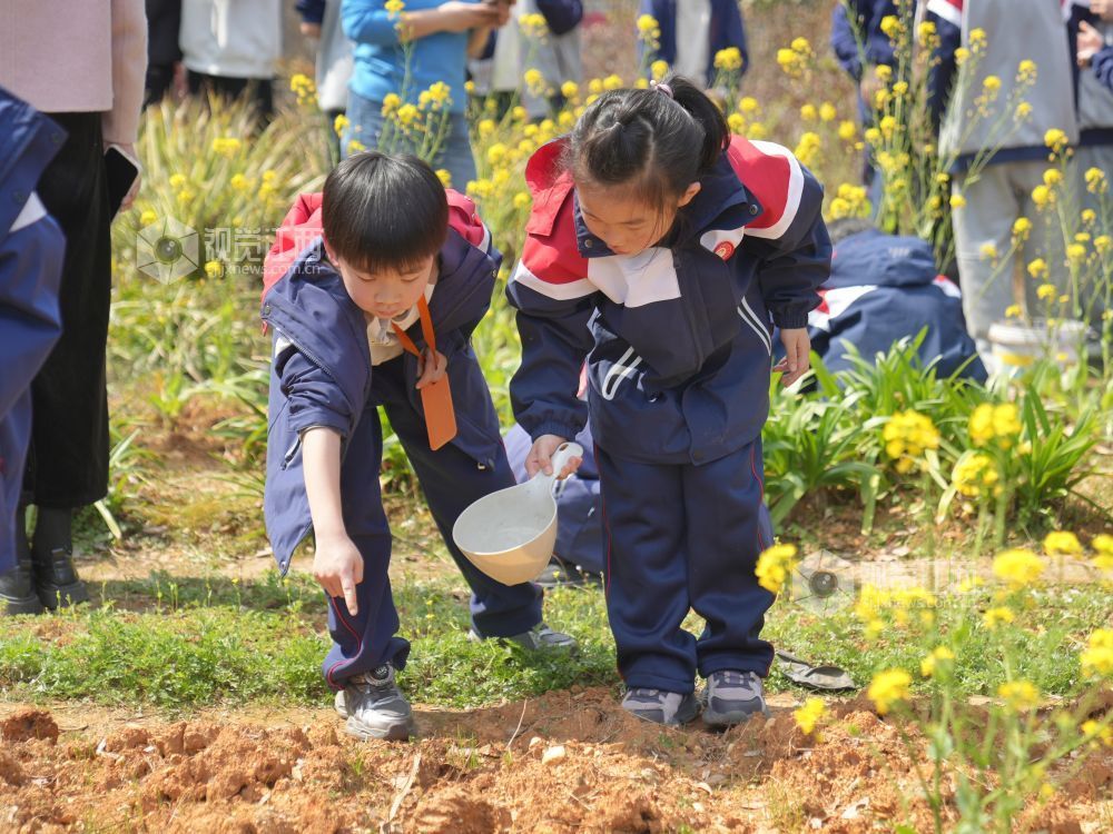 江西芦溪：中医药文化进校园（图）