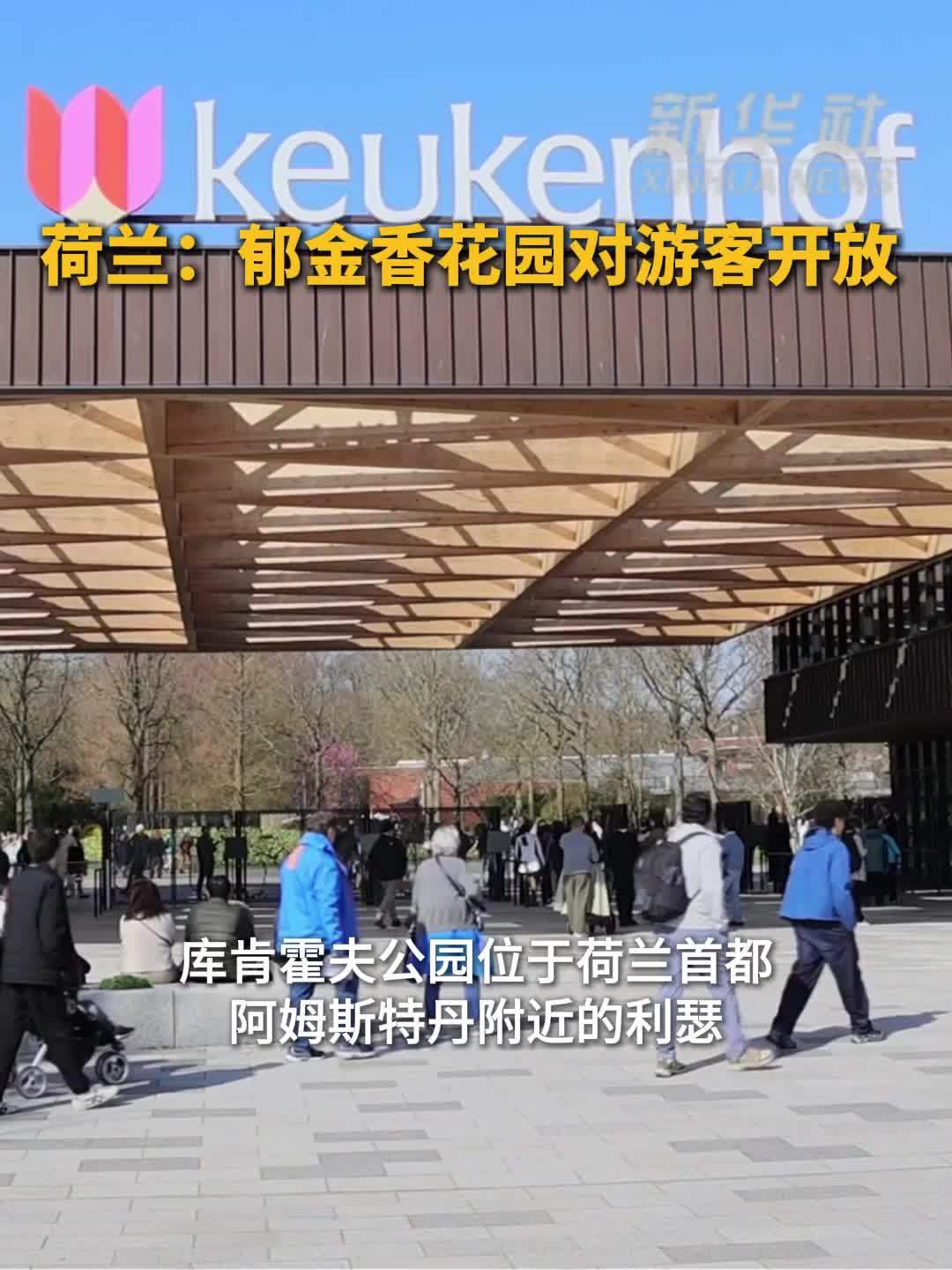 荷兰：郁金香花园对游客开放