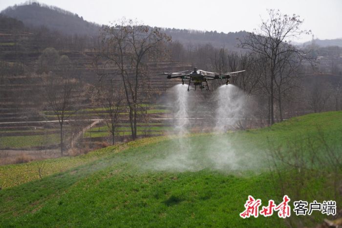 利用无人机开展小麦春管喷防