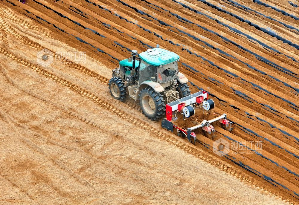 江西泰和：农机覆膜作业忙（图）