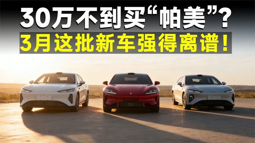 幸福的烦恼！30万预算，你选卷王海豹08还是国产帕美尚界Z7？