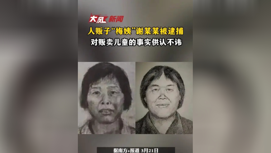 人贩子“梅姨”谢某某被逮捕，对贩卖儿童的事实供认不讳