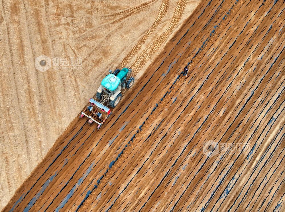 江西泰和：农机覆膜作业忙（图）