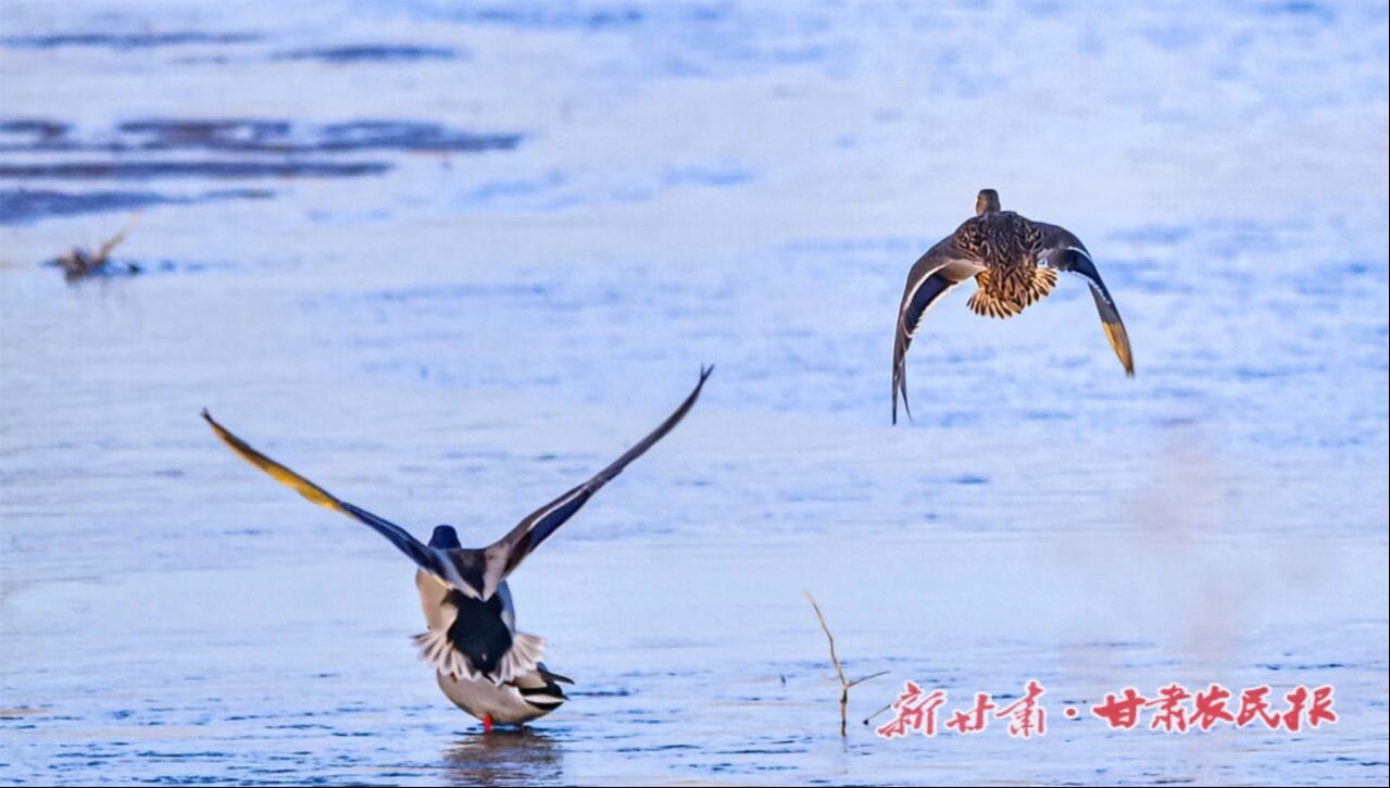 lQDPJxbKQaUzTBHNAtXNBP-wcGQDyeyhyaYJhwgs0oBmAA_1279_725