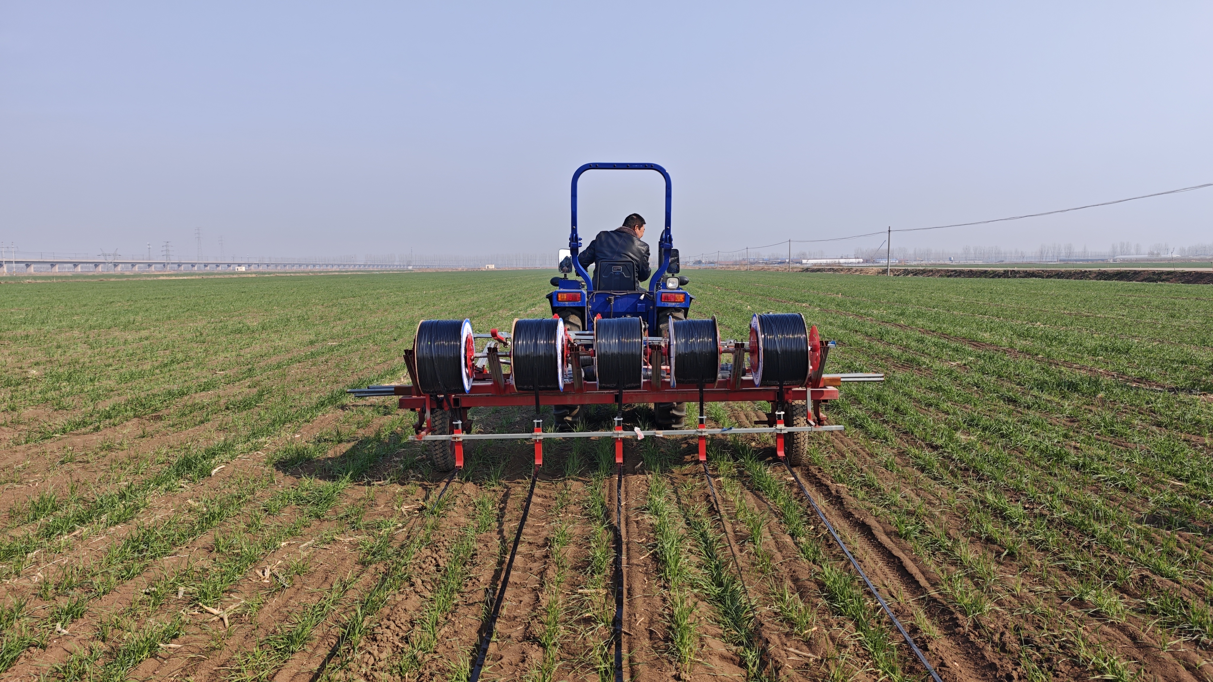 水肥精准“投喂”科技壮苗有方  全市绿色增粮小麦滴灌水肥一体化演示观摩活动在莱西市举行